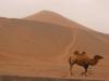 Shanshan Desert